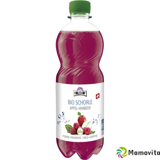 Holderhof apple-raspberry juice bio 5 dl buy online