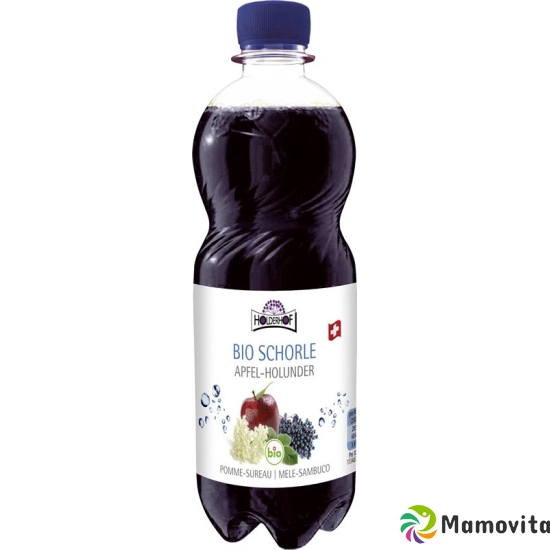 Holderhof apple and elderberry juice bio 5 dl buy online