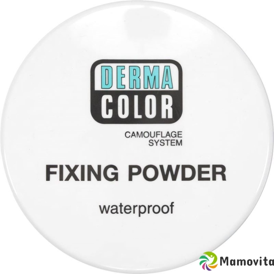 Dermacolor fixing powder P1 Ds 20 g buy online