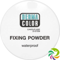 Dermacolor Setting Powder P11 Ds 20 g