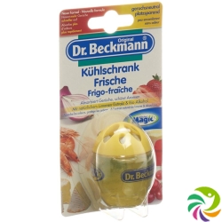 Dr Beckmann refrigerator fresh lime 40 g