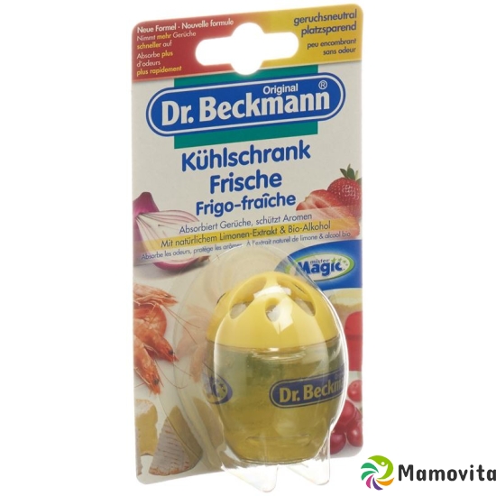 Dr Beckmann refrigerator fresh lime 40 g buy online