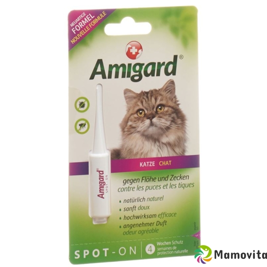 Amigard Spot-on Katze 1.5ml buy online