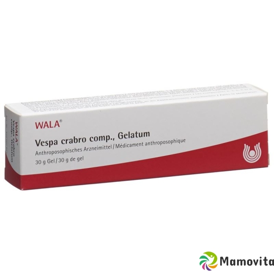 Wala Vespa crabro comp. Gel Tb 30 g buy online