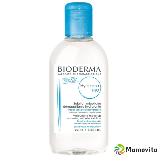 Bioderma Hydrabio H2O 250ml buy online