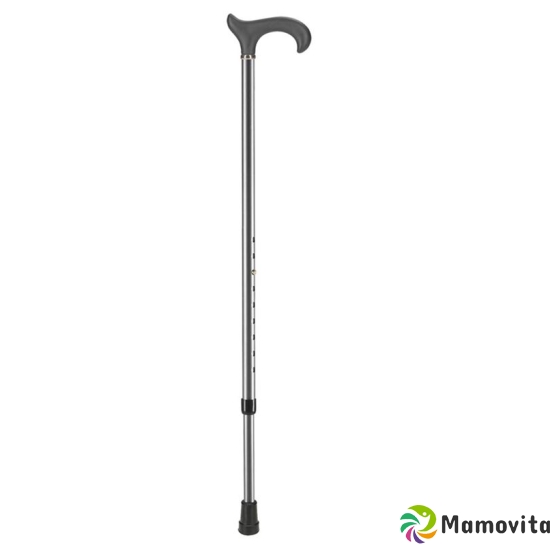 Ossenberg metal stick met gray 74-94cm Derby buy online