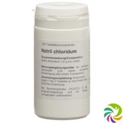 NaCl Welti Tabletten 1g 100 Stück