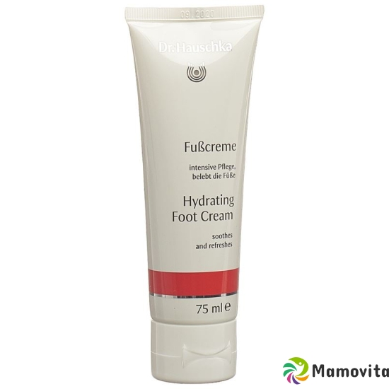 Dr. Hauschka Foot Cream 75 ml buy online