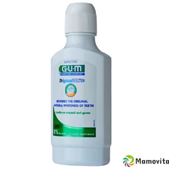 GUM SUNSTAR toothpaste Original White 300 ml buy online