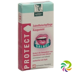 Protect Zahnfleischpflege Kaugummi 16 Stück