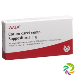 Wala Carum carvi comp. Soup 10 x 1g