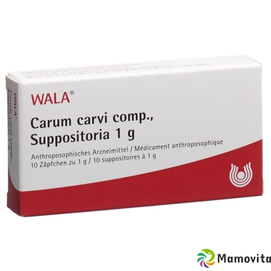 Wala Carum carvi comp. Soup 10 x 1g buy online