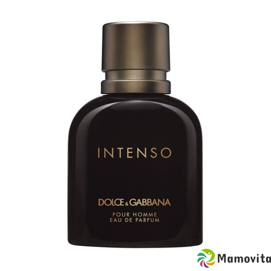 D&G Ph Intenso Eau de Parfum Spray 40ml buy online