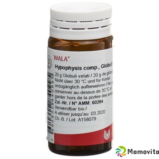 Wala hypophysis comp. Glob 20 g buy online