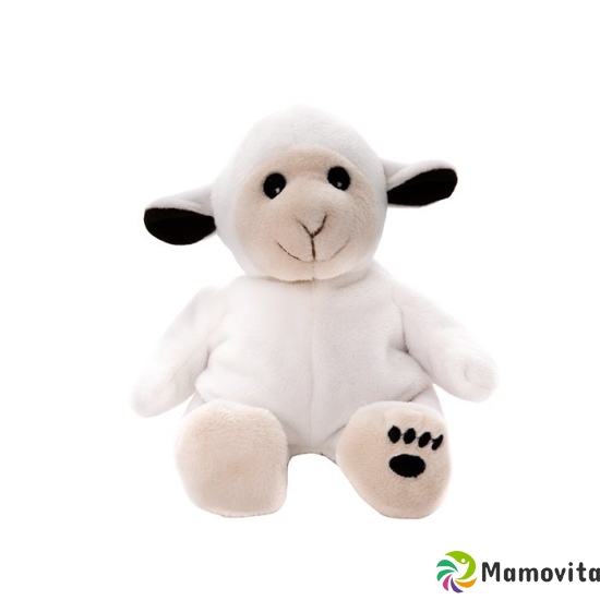 Habibi Plush Midi Sheep 18cm buy online