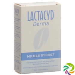 Lactacyd Derma mild syndet 100g