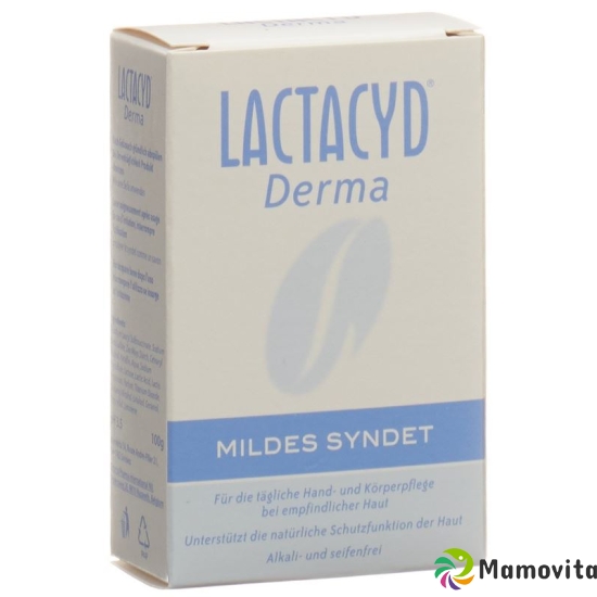 Lactacyd Derma mild syndet 100g buy online