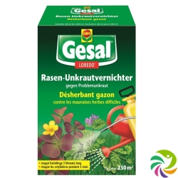 Gesal Lawn Unkrautvernichter LOREDO 50 ml