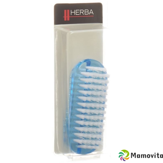 Herba nail brush blue clear frosted buy online