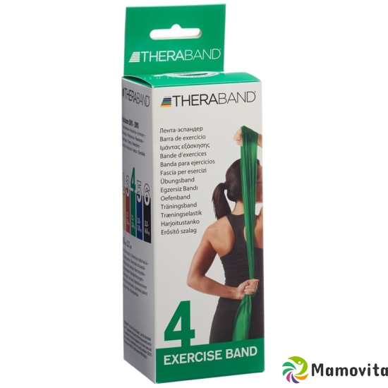 Theraband 2.5mx12.7cm green strong buy online