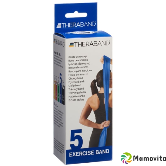 Theraband 2.5mx12.7cm blue Extra Strength buy online