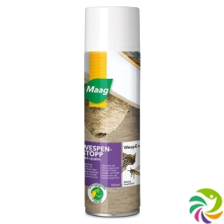 WespEx biocide aerosol spray 500 ml