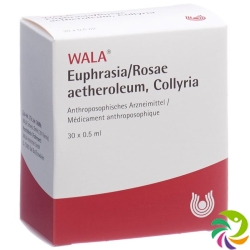 Wala Euphrasia / Rosae aetherolum Gd Opht (new) 30 Monodos 0.5 ml