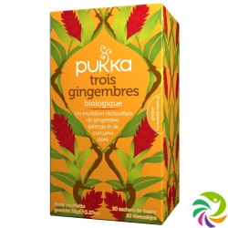 Pukka Trois Gingembres Thé bio Btl 20 pcs