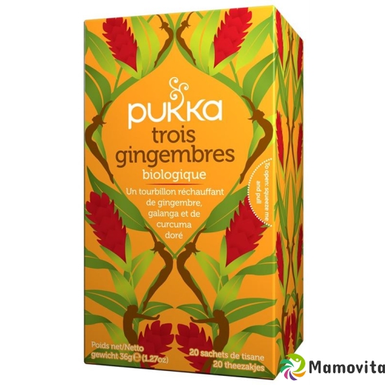 Pukka Trois Gingembres Thé bio Btl 20 pcs buy online