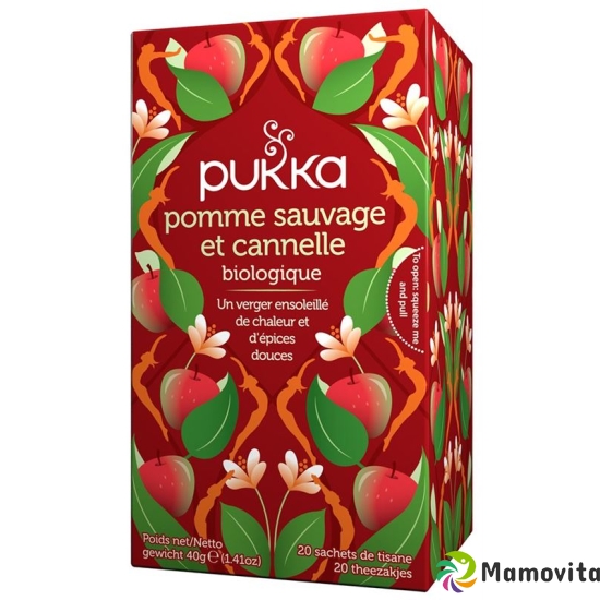 Pukka Pomme Sauvage Cannelle et Gingembre Thé organic bag 20 pcs buy online