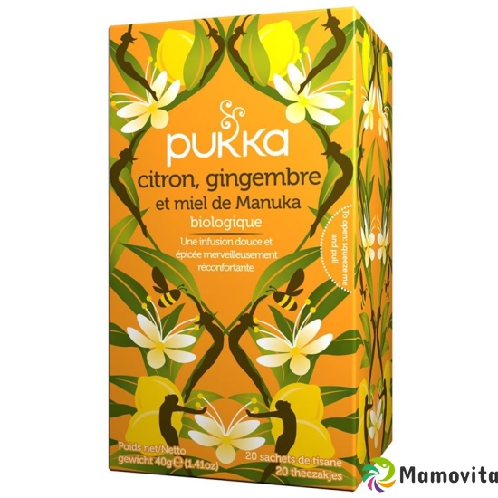 Pukka Citron Gingembre et Miel de Manuka Thé bio Btl 20 pcs buy online