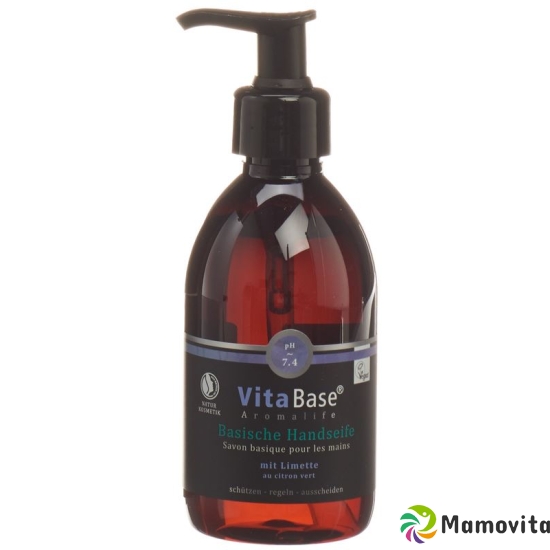 Vitabase Basic hand soap Disp 250 ml buy online