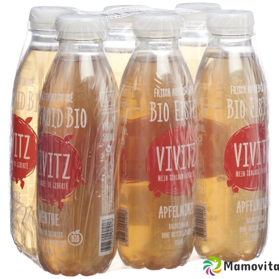 VIVITZ organic iced tea apple mint 6 x 0.5 lt buy online