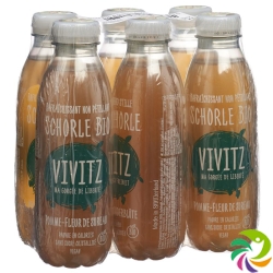 VIVITZ organic cider apple elderflower 6 x 0.5 lt