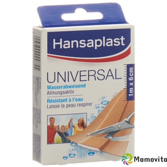 Hansaplast Universal Rapid Association meters 1mx6cm buy online