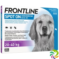 Frontline Spot On Dog L List D 3 x 2.68 ml