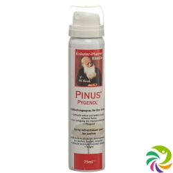 Pinus Pygenol refreshment Spray 75 ml