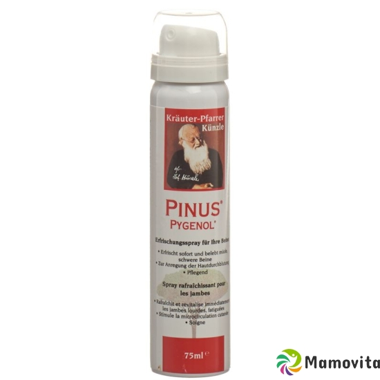 Pinus Pygenol refreshment Spray 75 ml buy online