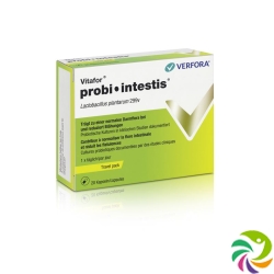 Vitafor probi-intestis Cape Travel Pack 20 pcs