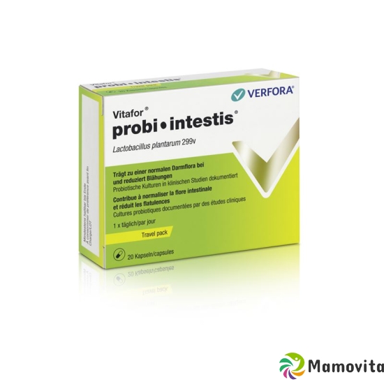 Vitafor probi-intestis Cape Travel Pack 20 pcs buy online