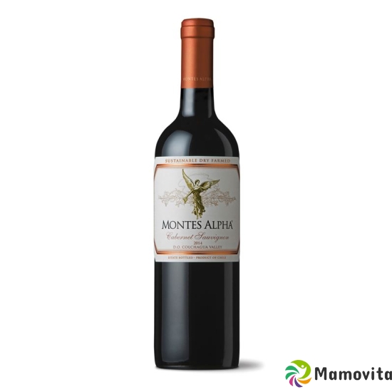 Alpha Cabernet Sauvignon Doc Monte 12 6 Flasche 0.75cl buy online