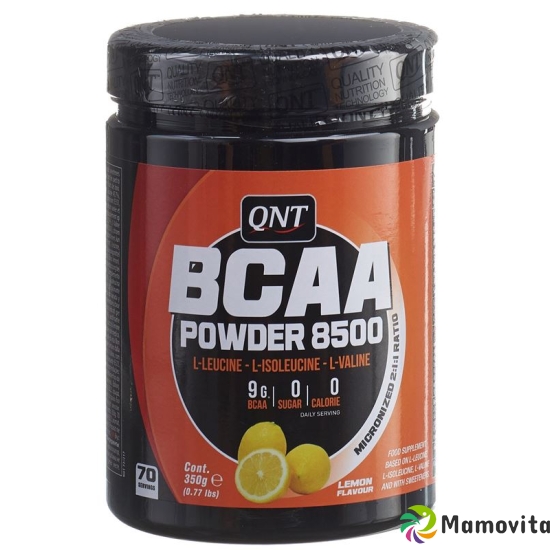 QNT BCAA 8500 Powder Instant Lemon 350 g buy online