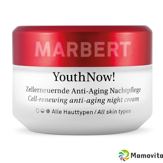 Marbert Youthnow! Night Cream 50ml buy online