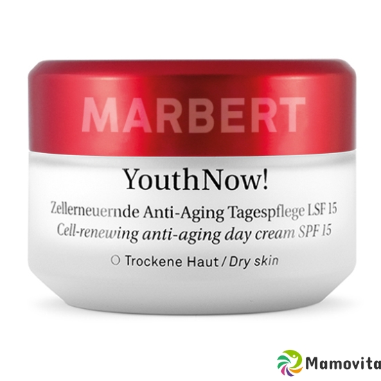 Marbert Youthnow! Day Cream Dry 50ml buy online