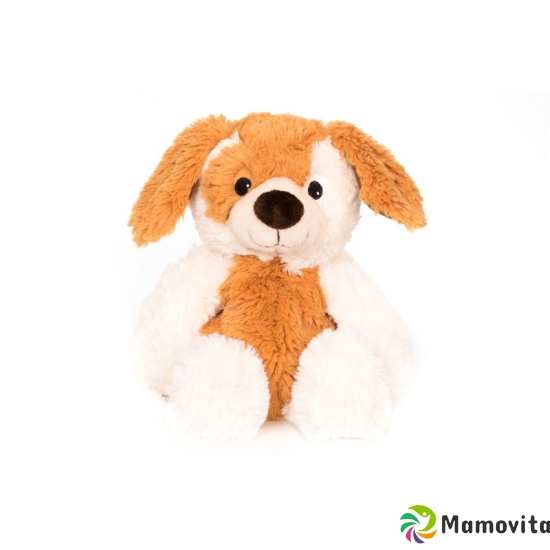 Habibi Plush Dog sitting beige white buy online