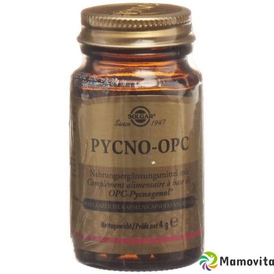 Solgar Pycno-Opc Caps Flasche 30 Stück buy online