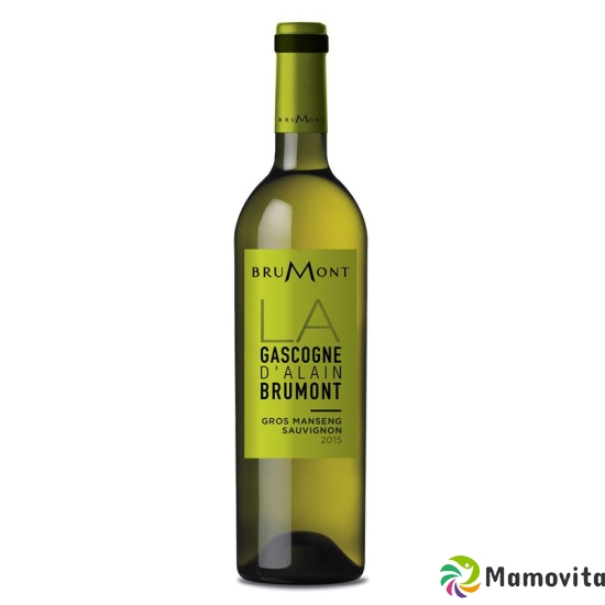 Gros Manseng Sauvignon Vdp Cote Gas 2014 6x 75cl buy online