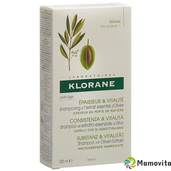 Klorane olive Shampoo 200 ml buy online