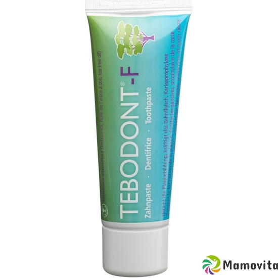 Tebodont-F toothpaste Tb 75 ml buy online