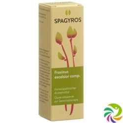 Spagyros Gemmo Comp Fraxinus excel Glyc Maz D 1 30 ml